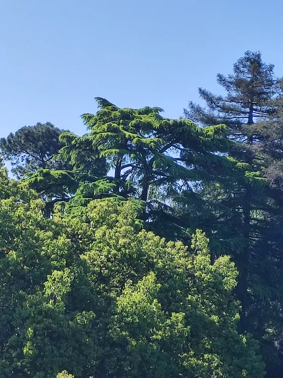 Квартира Квартира Студия в Парке — Адлер