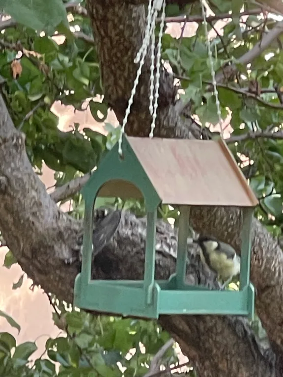 Частный дом.Участок 5 соток.Без соседей.В пешей доступности от моря