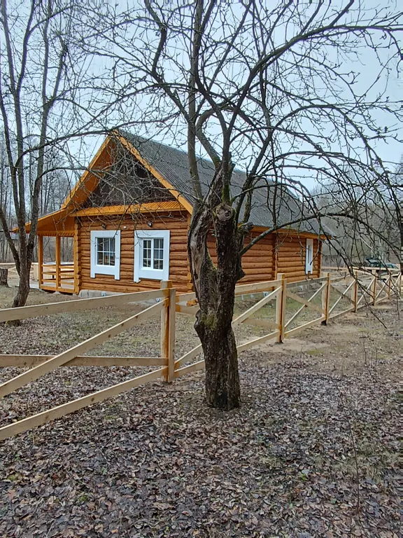 Дом в лесу у ручья