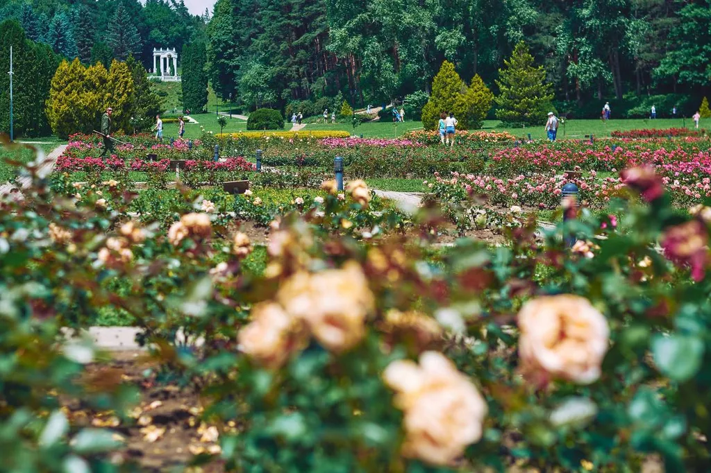 Park Rebrova