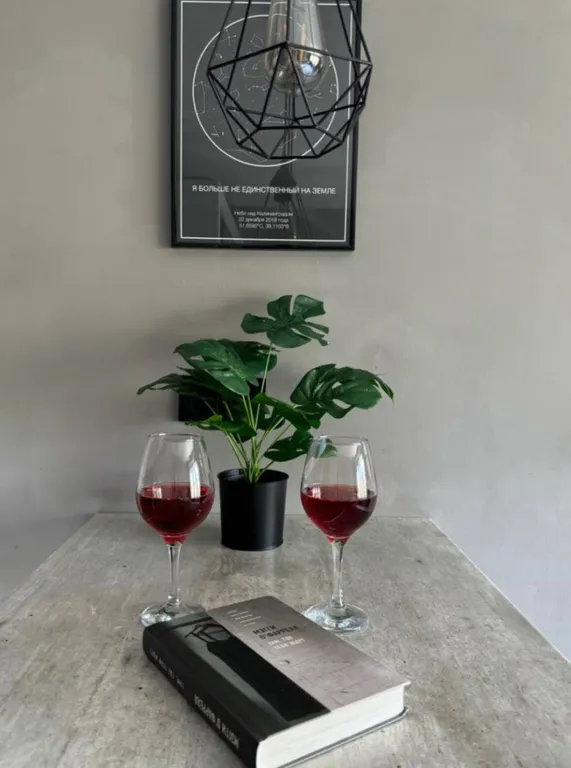 Квартира Уютная квартира в центре города — Калининград