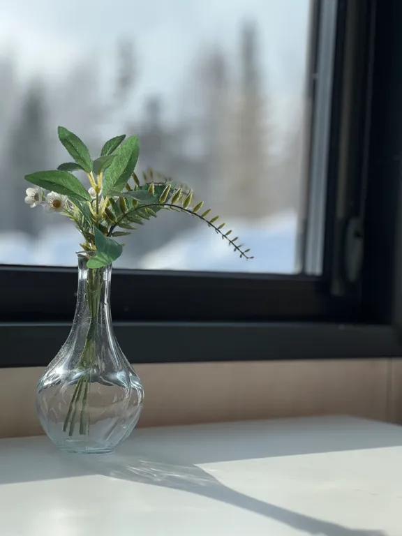 Коттедж Панорамный мини-дом — Шерегеш