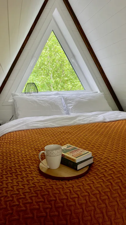 Уникальный треугольный дом в лесу Forest