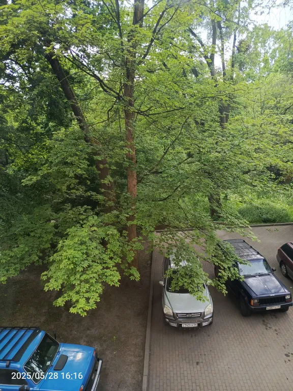 Квартира уютная квартира в историческом центре Калининграда — Калининград