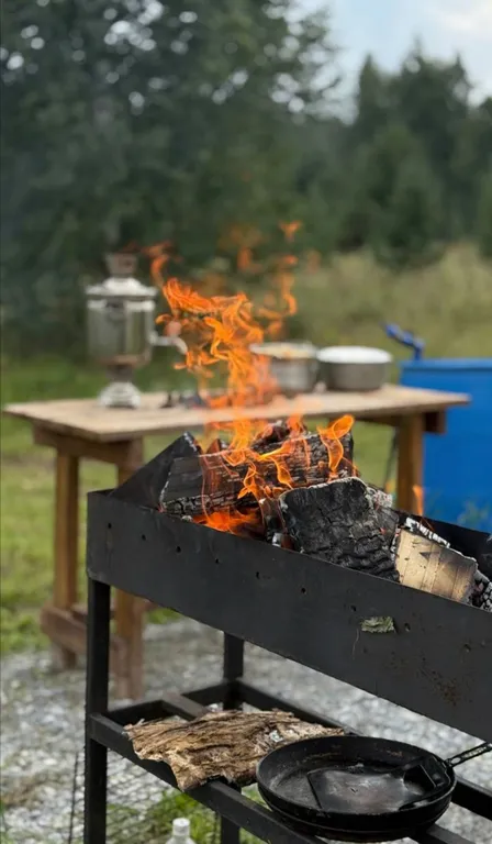 Дом на большом лесном участке Дача интроверта