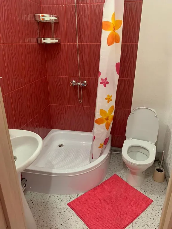 Студия картуз