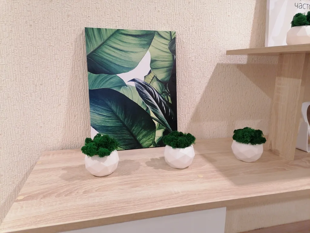 Уютная квартира для комфортного отдыха — аренда посуточно в Дагомыс