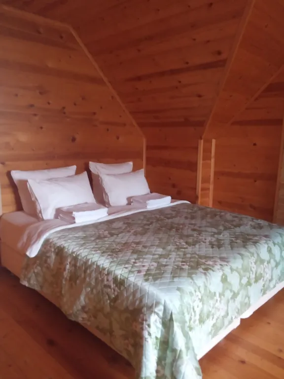 Коттедж Загородный дом на берегу озера — Машезеро