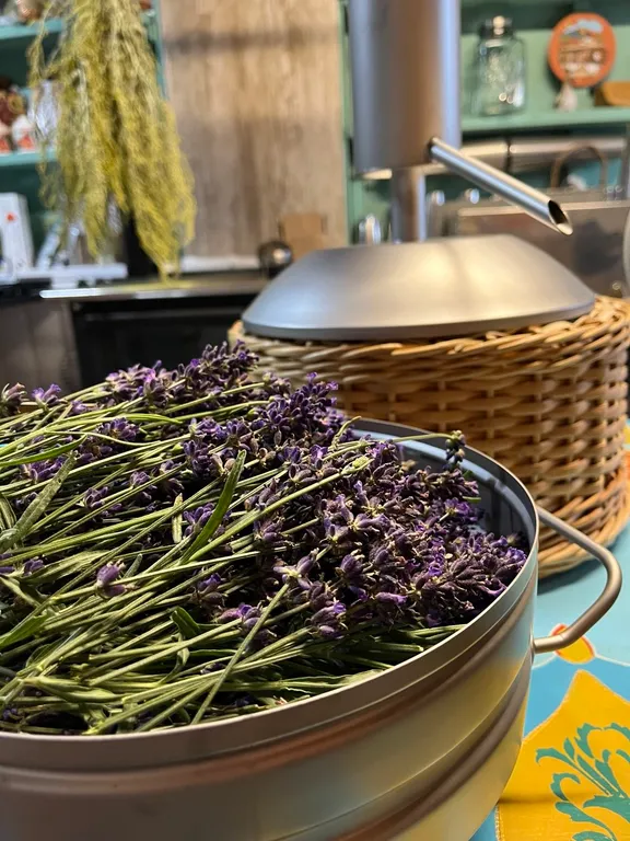 АРТ-усадьба Дольче Вита