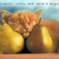 андрей