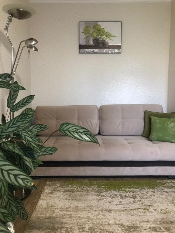 Уютная квартира