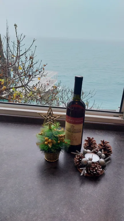 Студия с видом на море на первой береговой линии