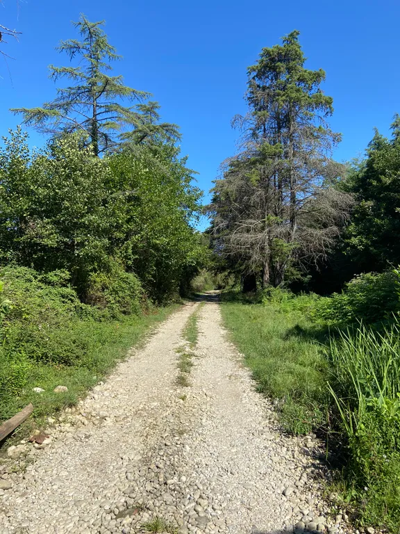 Уютный дом для вашего семейного отдыха