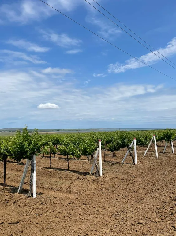 Апартаменты с видом на море Негрустинка