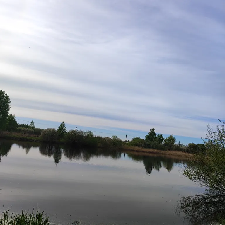 Уютный домик