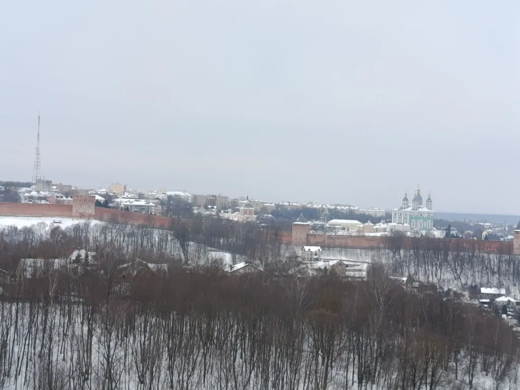 Уютная квартира с видом на Успенский собор и Крепостную Стену.