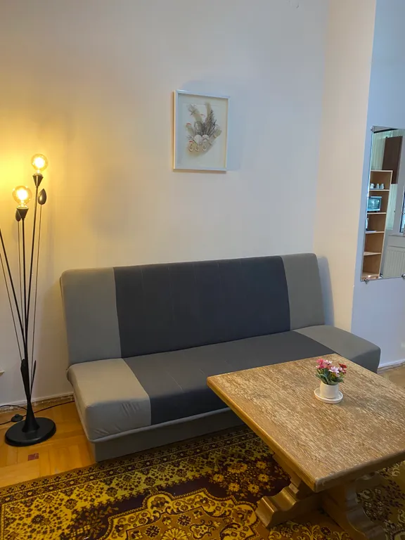 Однокомнатная квартира в центре города