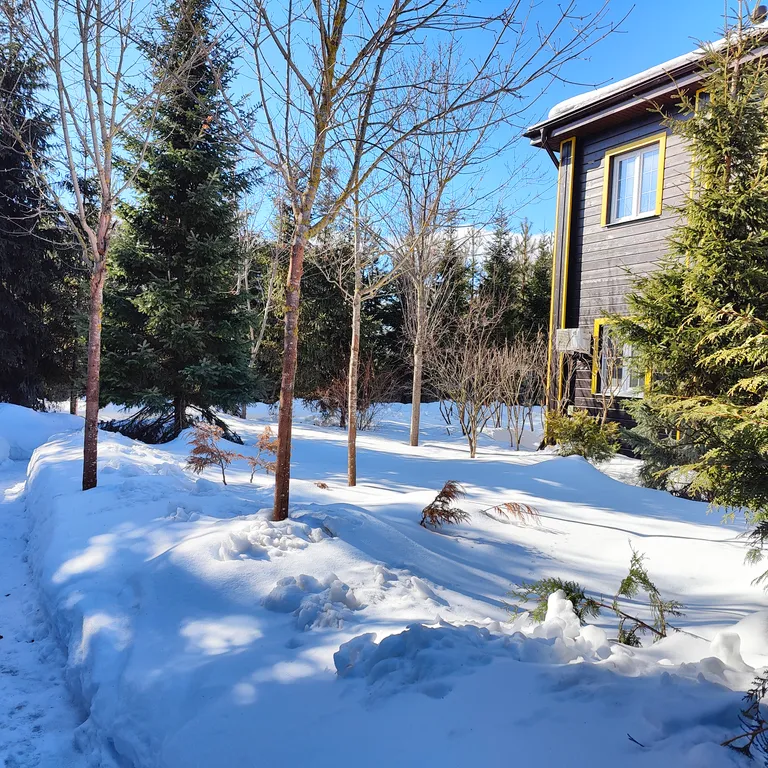 Дом улучшенный