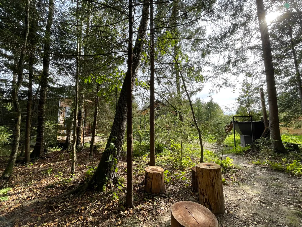 Лесной домик