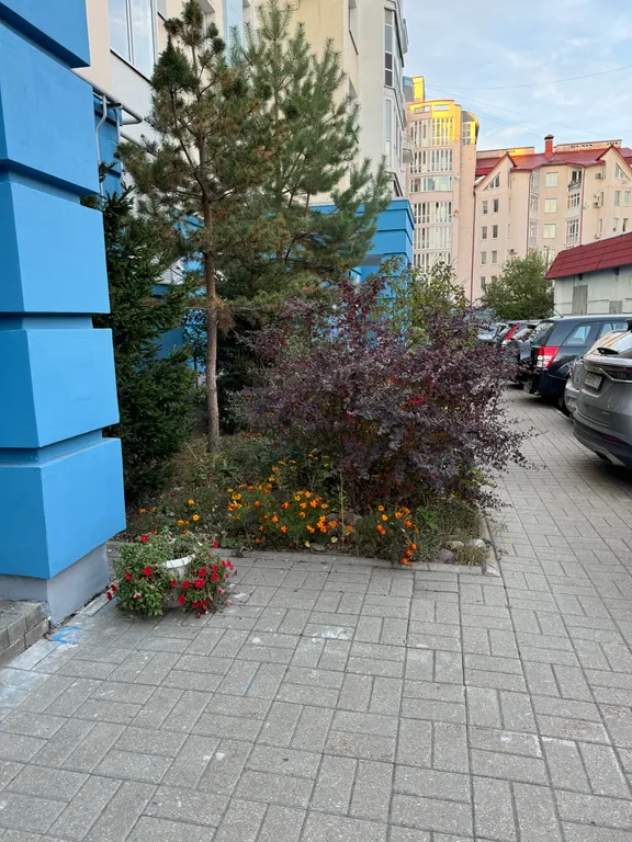 Квартира Квартира Апартамент в исторической части города — Ярославль