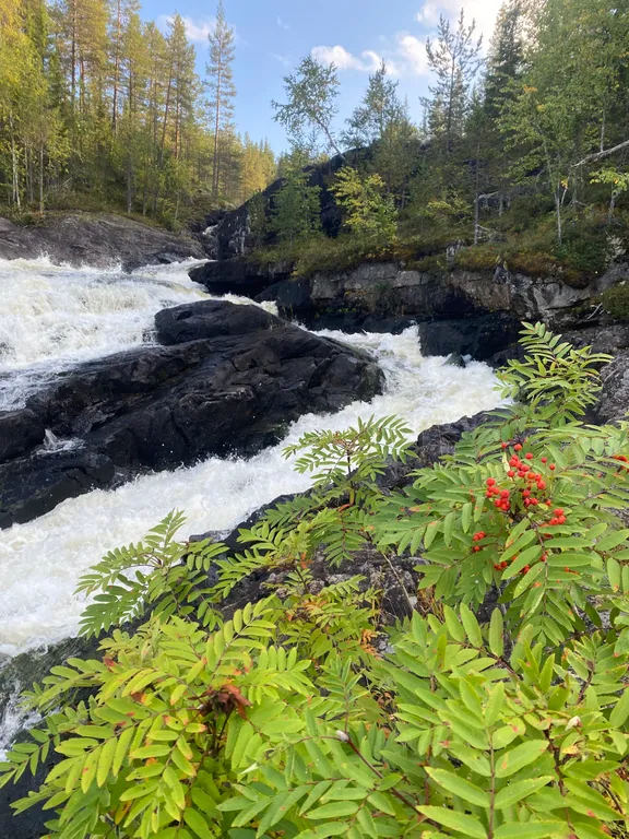 Уютный дом со всеми удобствами на берегу озера Верхнее Куйто