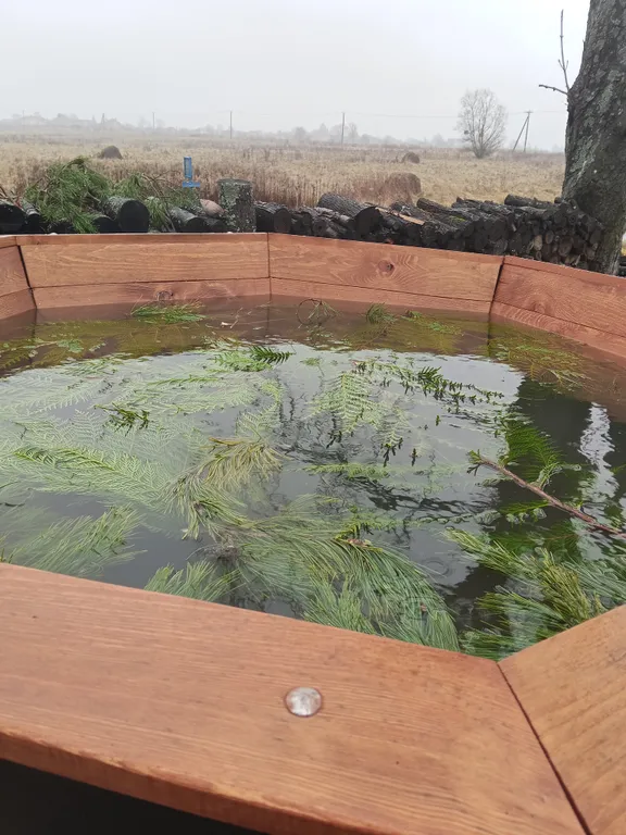 Коттедж Уютный домик А-фрейм в гостях на хуторе Фридланда — Калининград