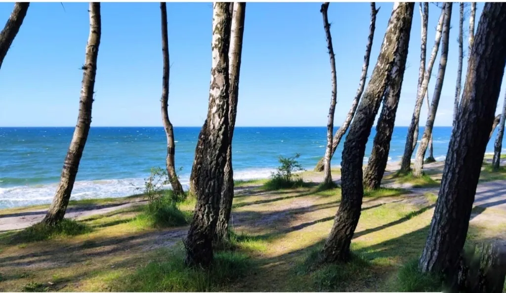 Апартаменты с видом на море