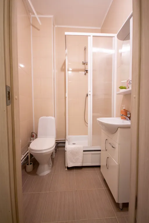 1-комнатная квартира у Меги