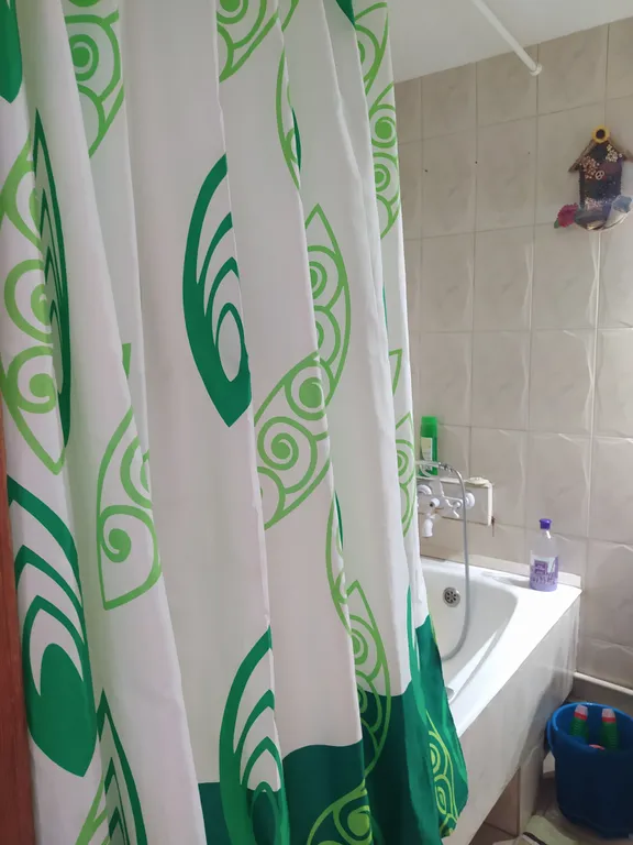 Уютная двухкомнатная квартира около Барбошиной поляны