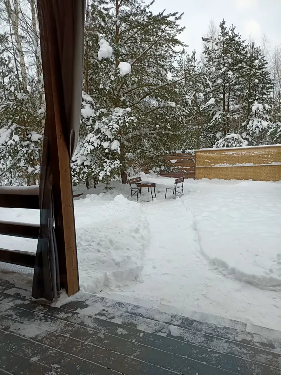 Уютный барнхаус с видом на лес