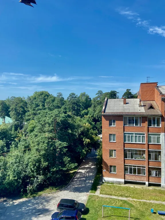 Уютная квартира на берегу Обского моря