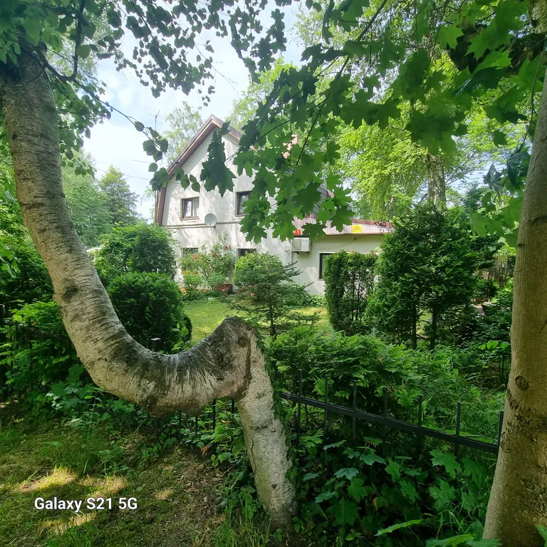 Студия Red в центре у моря