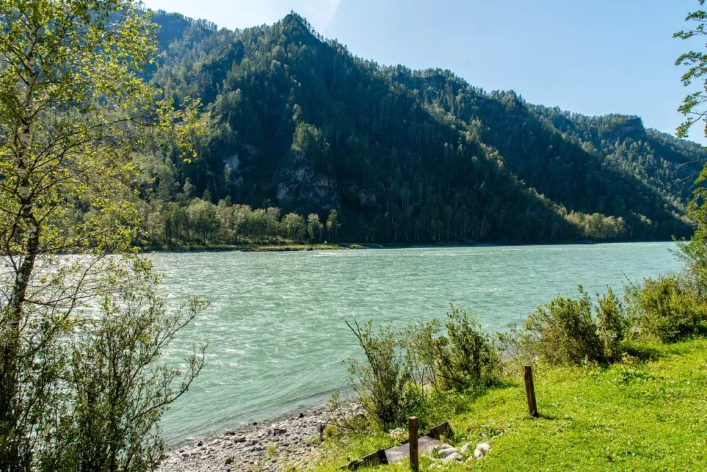 Дом на берегу реки Катунь