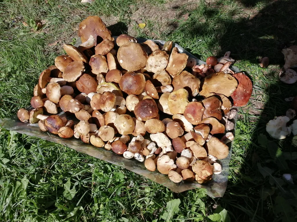 Уютный дом на берегу озера с баней на дровах