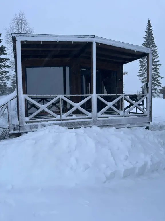 Дом «Манул»