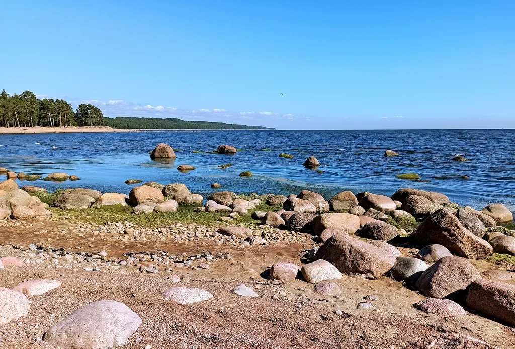 Апартамент у центрального пляжа и парка Дубки