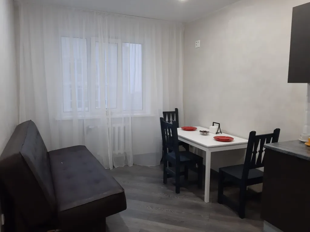 Большая однокомнатная квартира в центре города