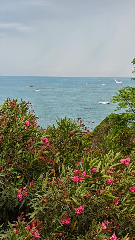 Квартира Квартира с видом на море — Сочи