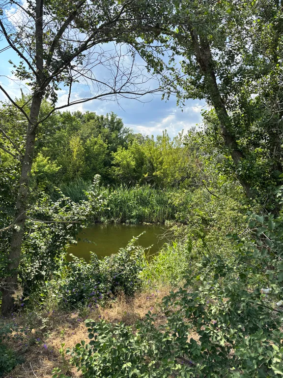 Уютный домик с видом на лес