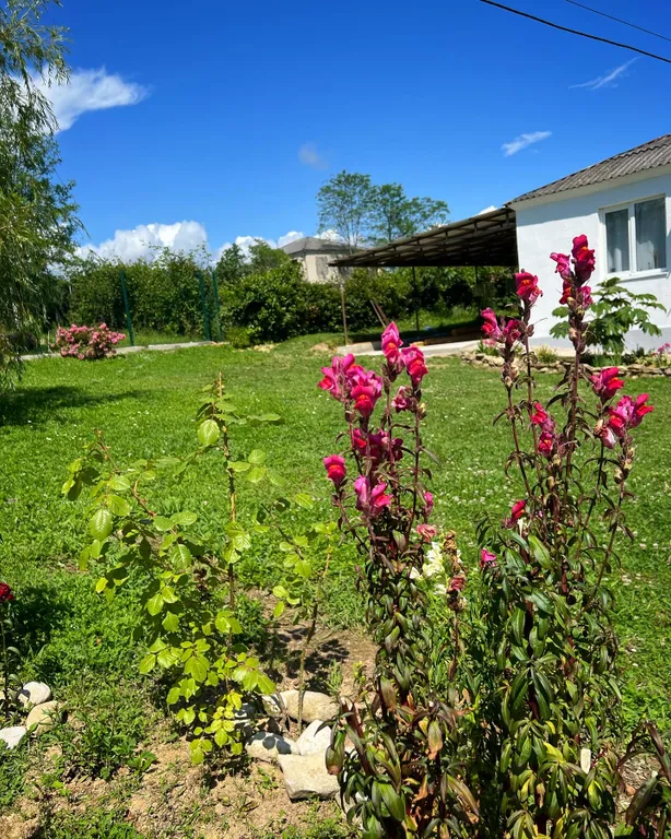 Уютный дом в центре Абхазии