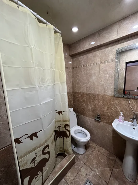 В центре Еревана