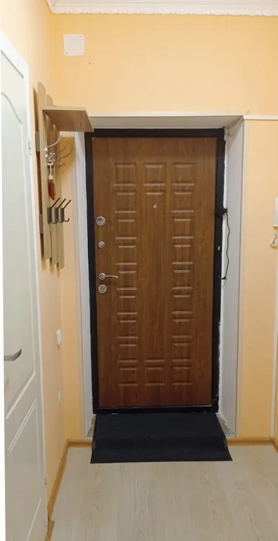 Однокомнатная в Петра Дубраве