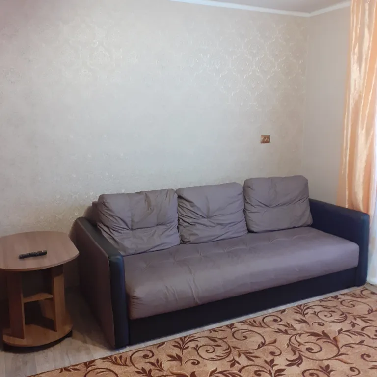 1-комнатная квартира в центре