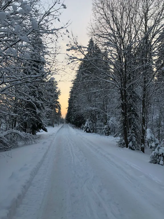 Коттедж 4-комнатный Дом — Гатчина