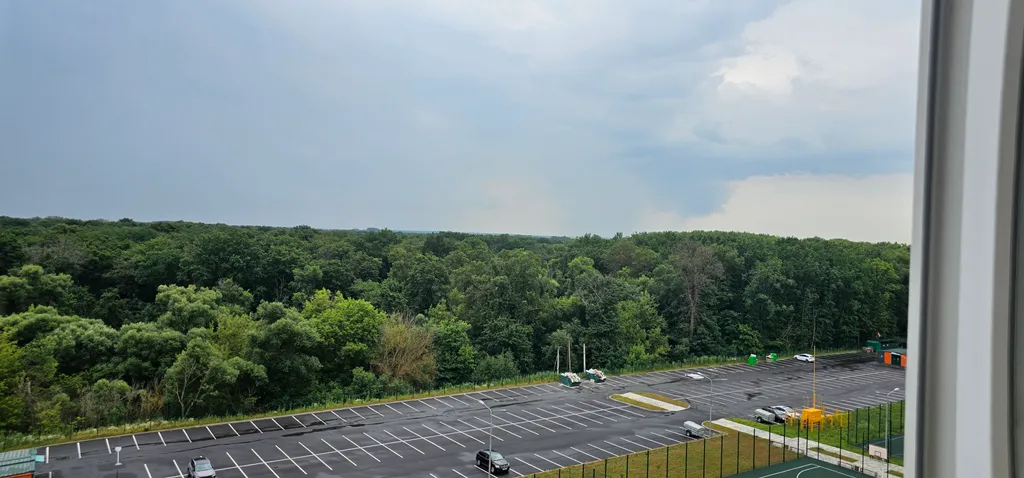 Студия с видом на лес