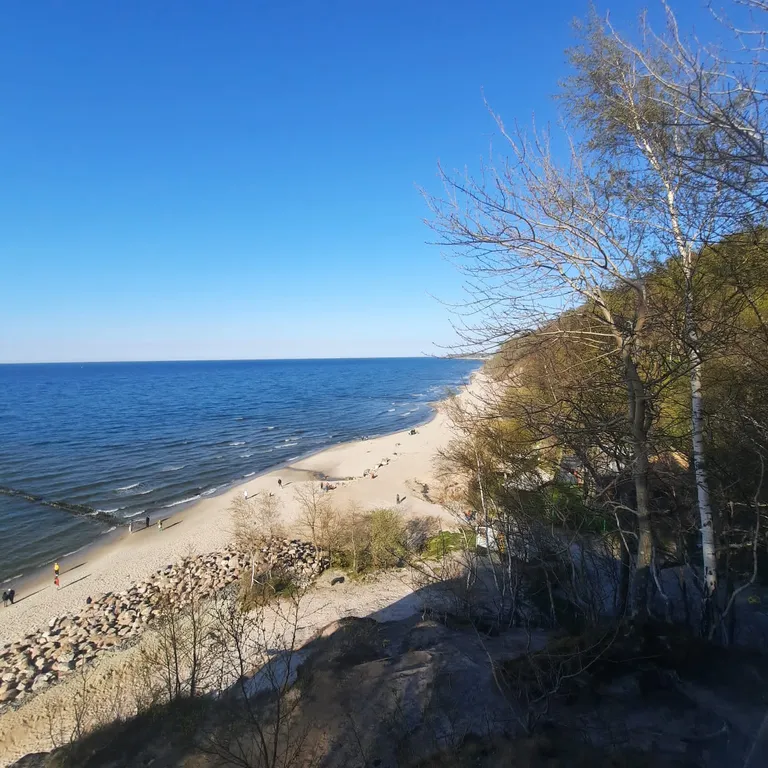 Квартира Уютная квартира в зелёном и тихом районе на берегу Балтийского моря — Светлогорск