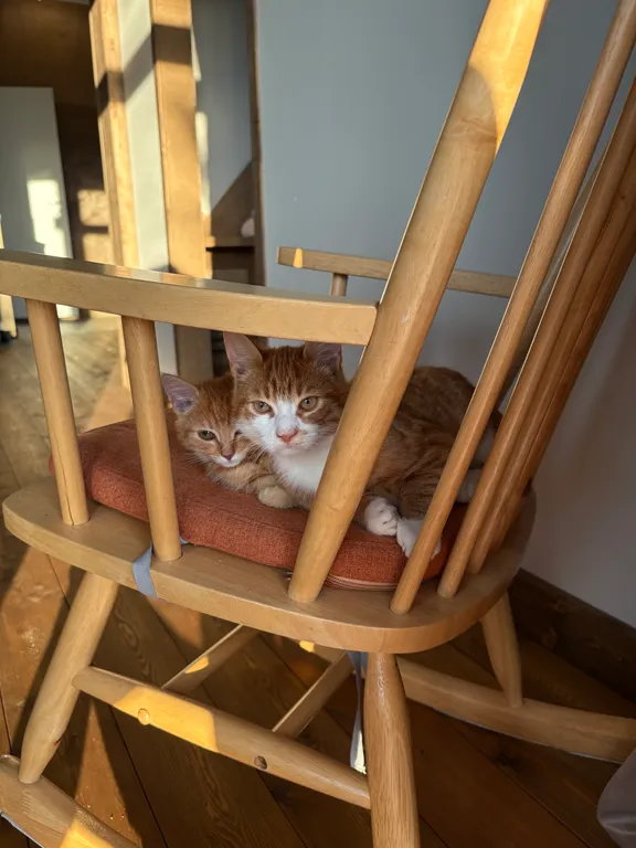 Семейный дом