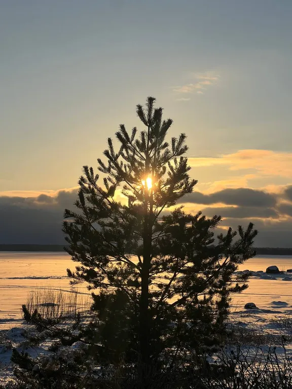 Коттедж Коттедж с видом на море — Приморск