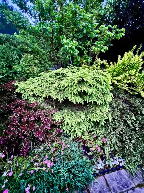 Загородный дом с баней