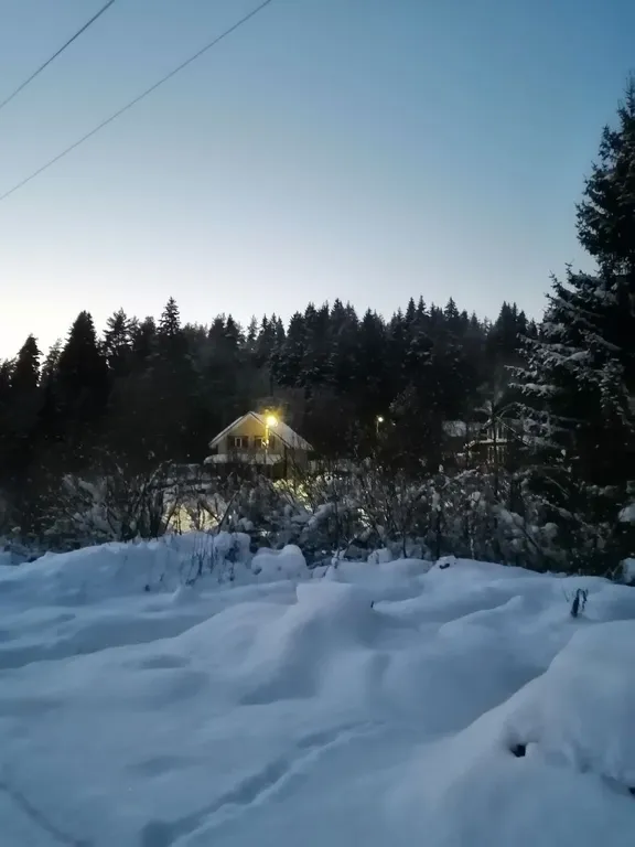 Уютный уголок у леса